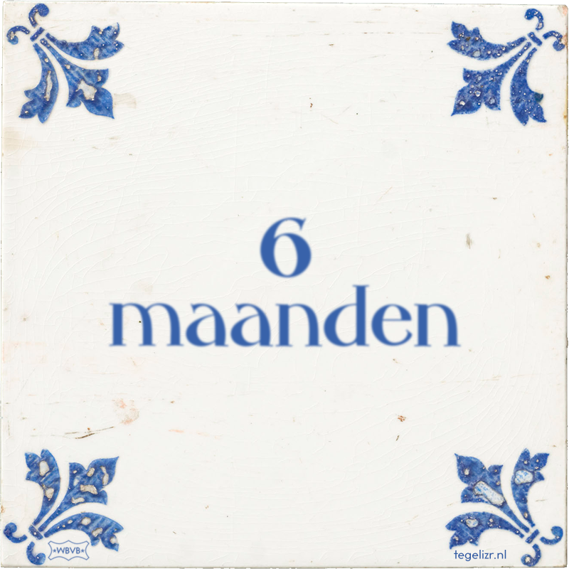 6 maanden - Online tegeltjes bakken