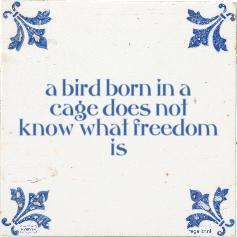 a bird born in a cage does not know what freedom is - Online tegeltjes bakken
