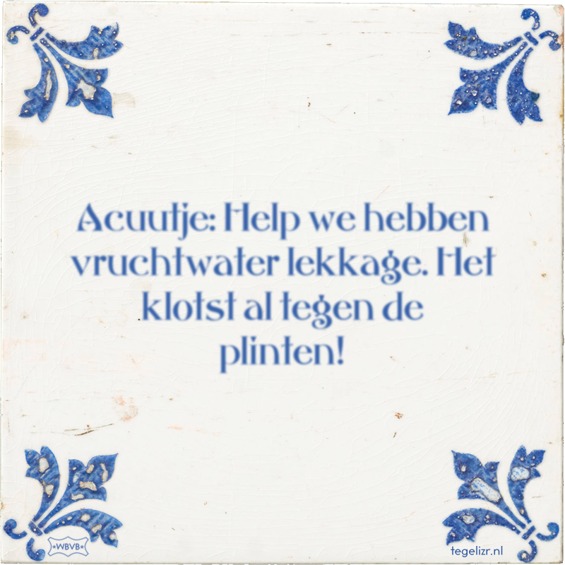 Acuutje: Help we hebben vruchtwater lekkage. Het klotst al tegen de plinten! - Online tegeltjes bakken