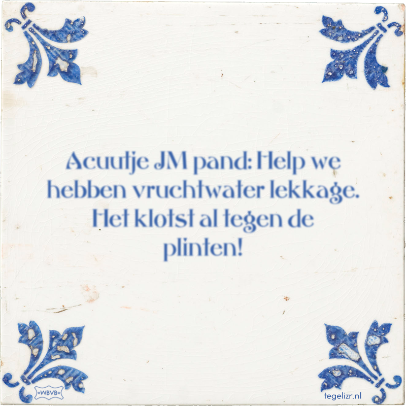 Acuutje JM pand: Help we hebben vruchtwater lekkage. Het klotst al tegen de plinten! - Online tegeltjes bakken