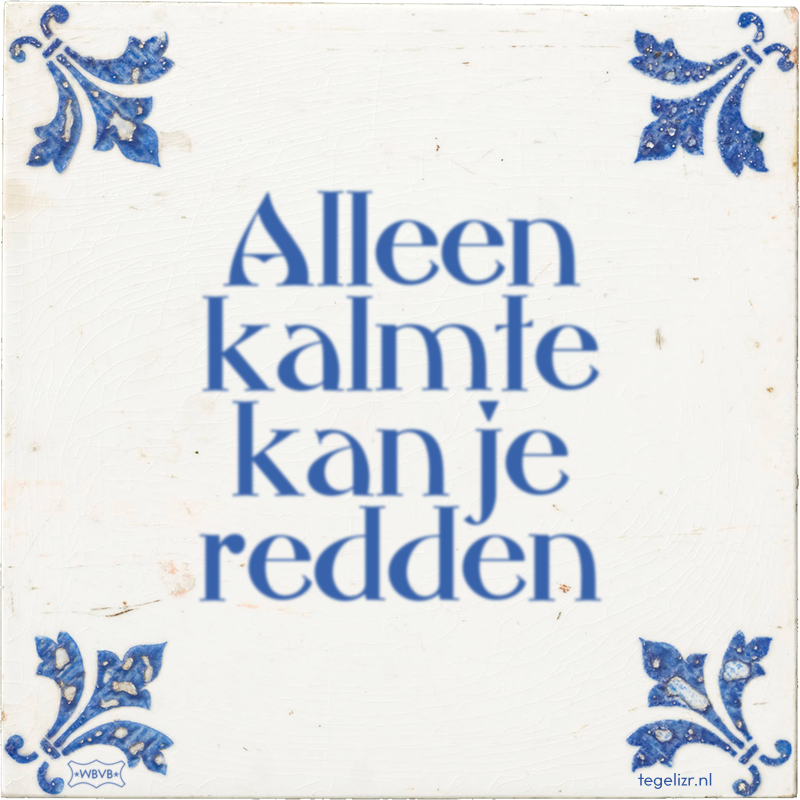 Alleen kalmte kan je redden - Online tegeltjes bakken