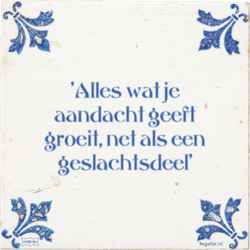 'Alles wat je aandacht geeft groeit, net als een geslachtsdeel' - Online tegeltjes bakken