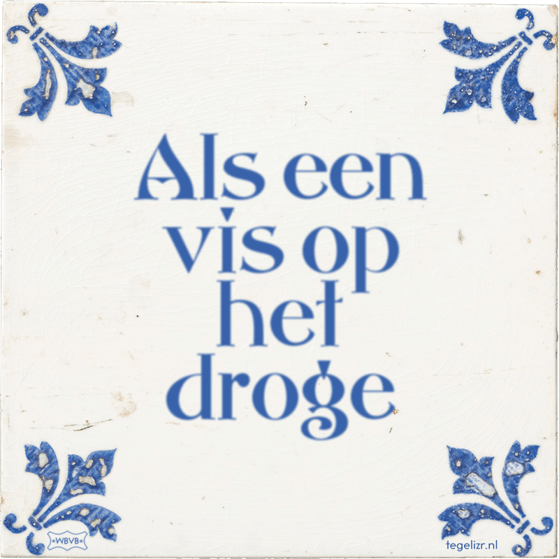 Als een vis op het droge - Online tegeltjes bakken