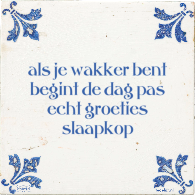 als je wakker bent begint de dag pas echt groeties slaapkop - Online tegeltjes bakken