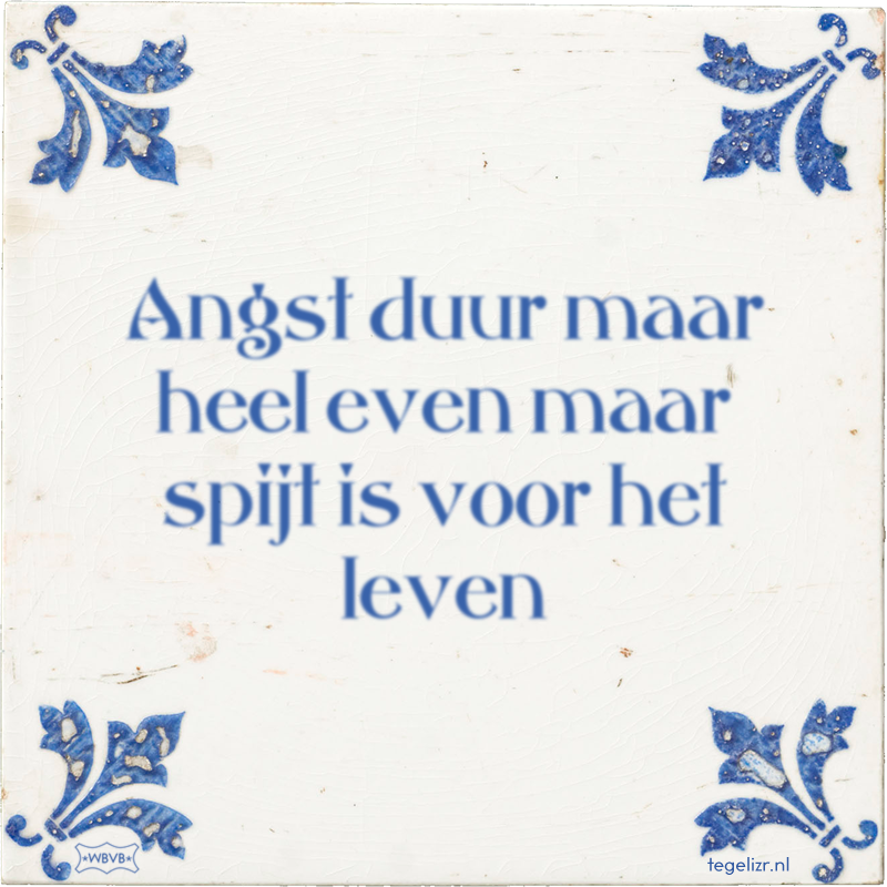 Angst duur maar heel even maar spijt is voor het leven - Online tegeltjes bakken