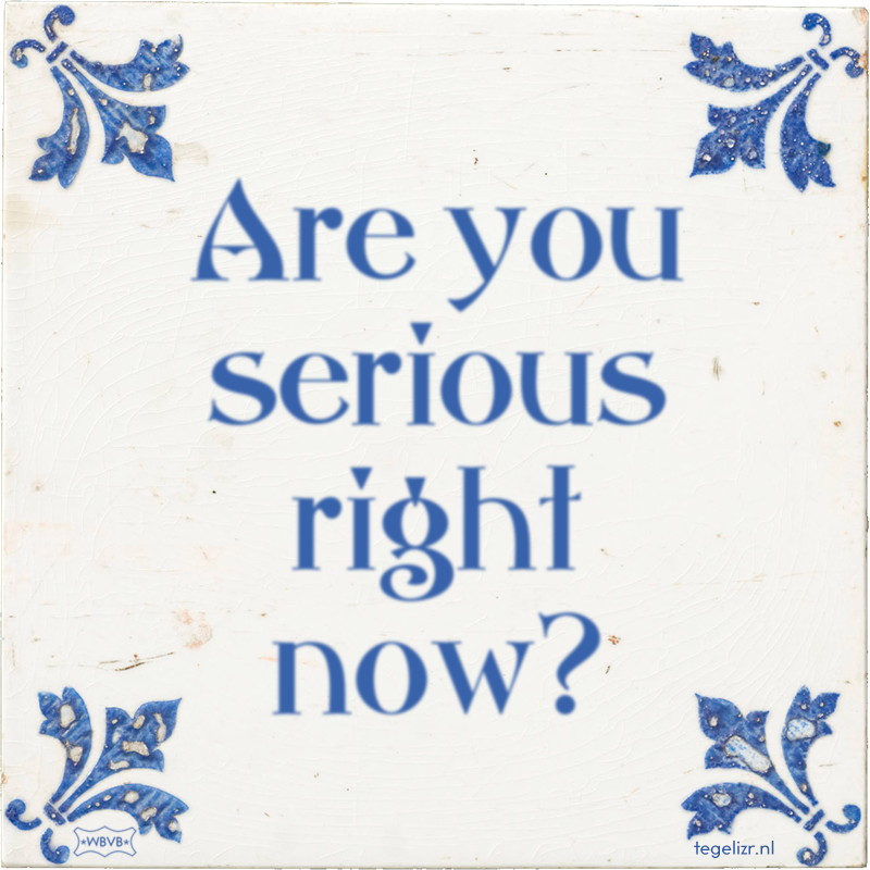 Are you serious right now? - Online tegeltjes bakken