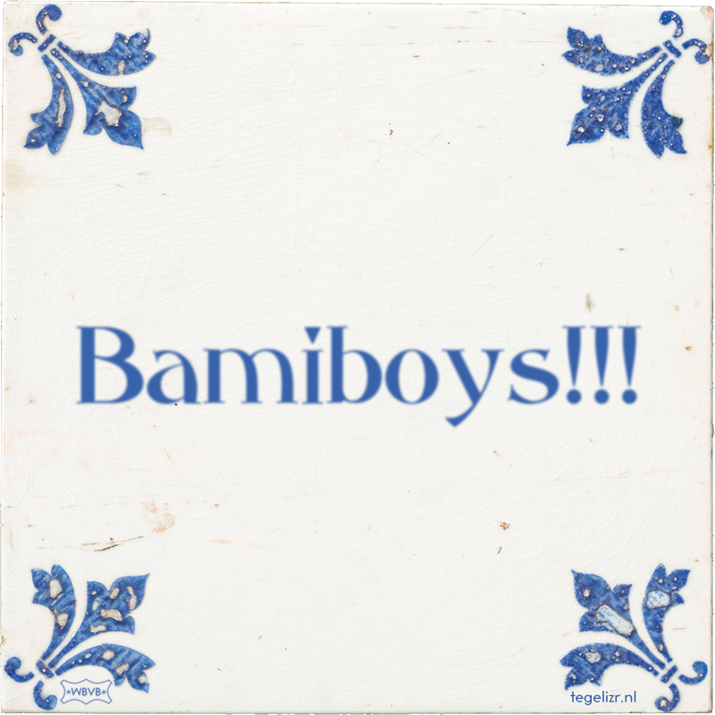 Bamiboys!!! - Online tegeltjes bakken