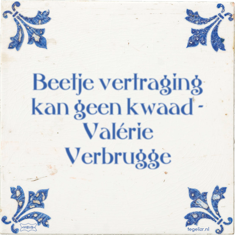 Beetje vertraging kan geen kwaad - Valérie Verbrugge - Online tegeltjes bakken