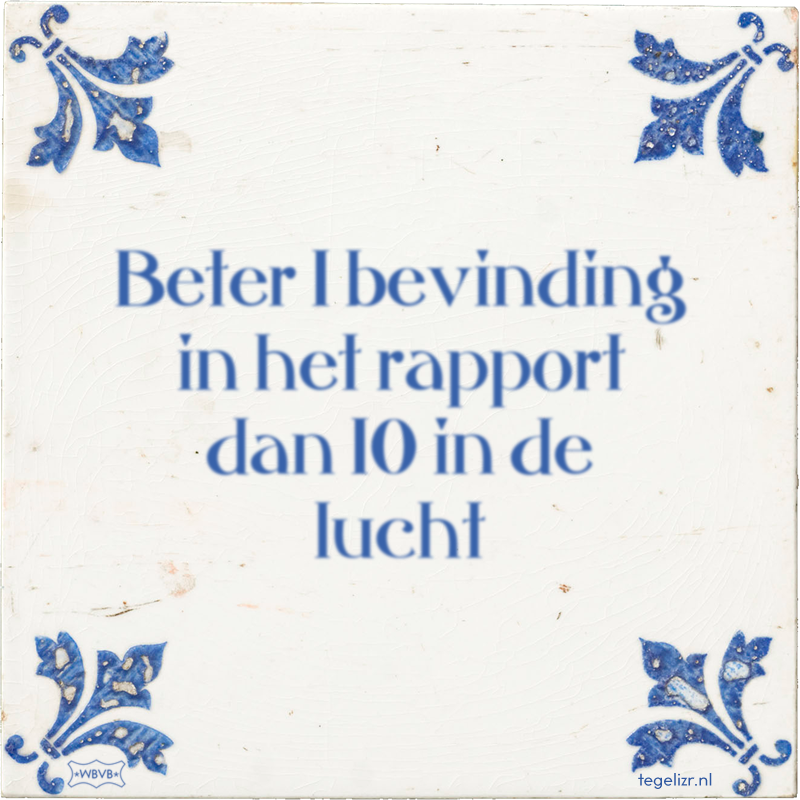 Beter 1 bevinding in het rapport dan 10 in de lucht - Online tegeltjes bakken