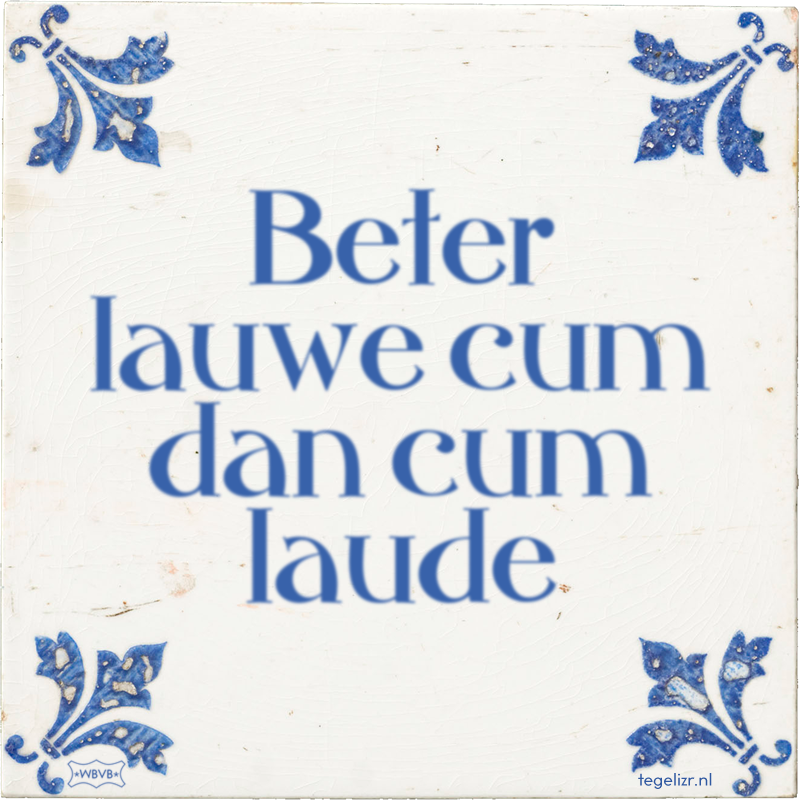 Beter lauwe cum dan cum laude - Online tegeltjes bakken