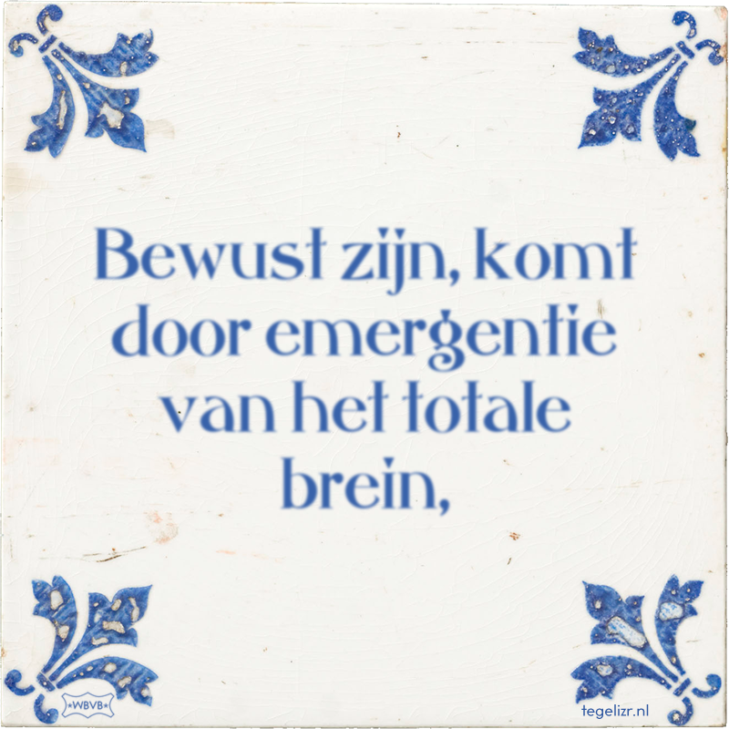 Bewust zijn, komt door emergentie van het totale brein, - Online tegeltjes bakken