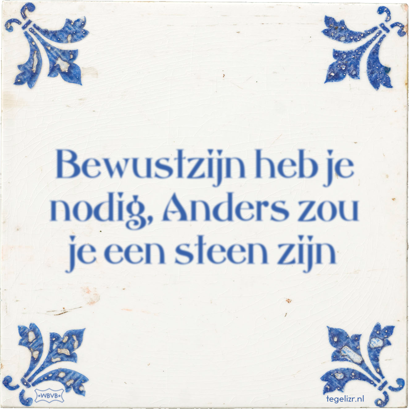 Bewustzijn heb je nodig, Anders zou je een steen zijn - Online tegeltjes bakken