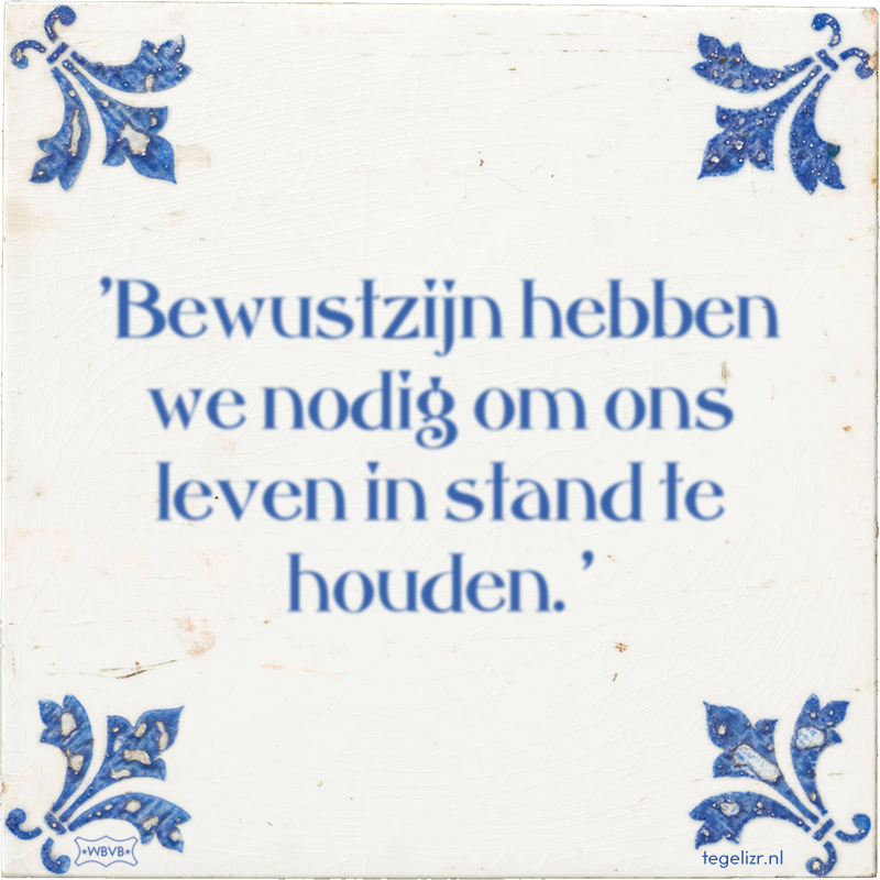 'Bewustzijn hebben we nodig om ons leven in stand te houden. ' - Online tegeltjes bakken