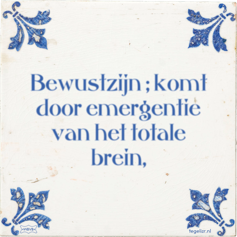 Bewustzijn ; komt door emergentie van het totale brein, - Online tegeltjes bakken
