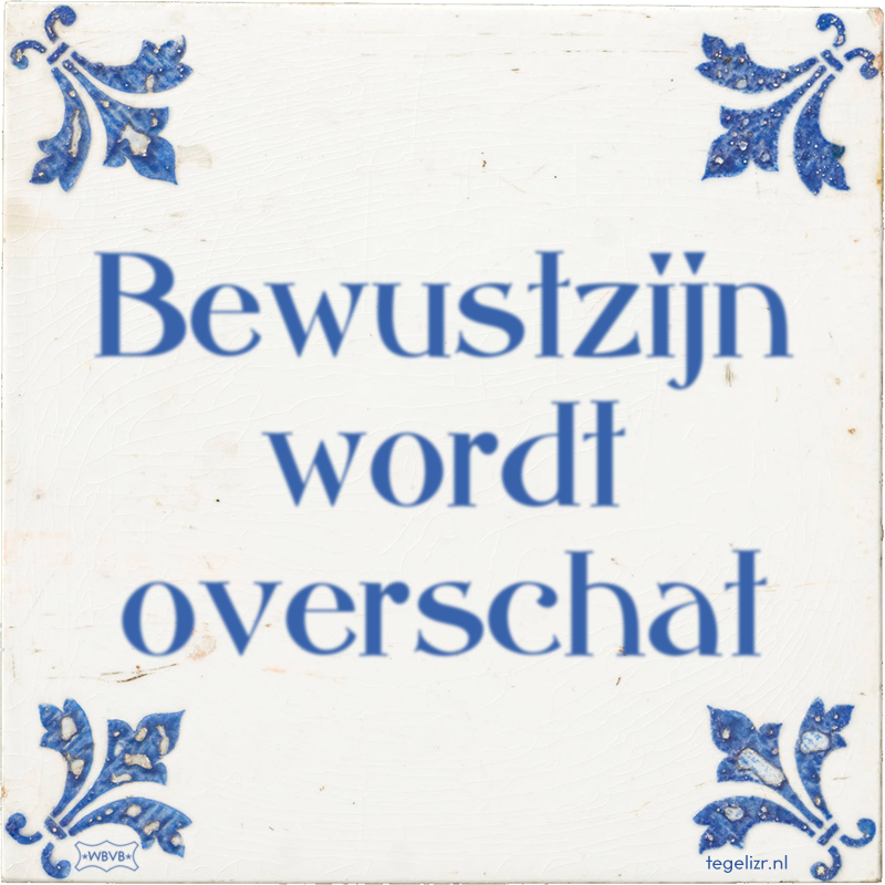Bewustzijn wordt overschat - Online tegeltjes bakken
