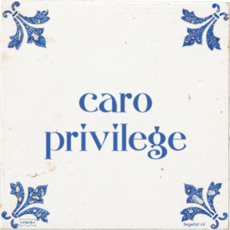 caro privilege - Online tegeltjes bakken