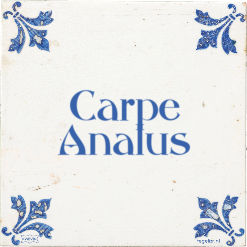Carpe Analus - Online tegeltjes bakken