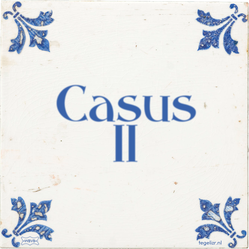 Casus 11 - Online tegeltjes bakken