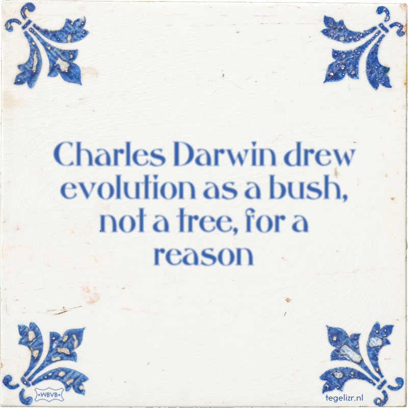 Charles Darwin drew evolution as a bush, not a tree, for a reason - Online tegeltjes bakken