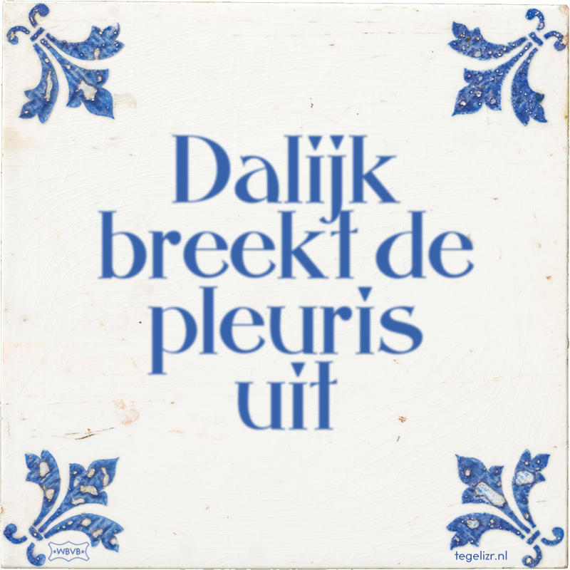 Dalijk breekt de pleuris uit - Online tegeltjes bakken