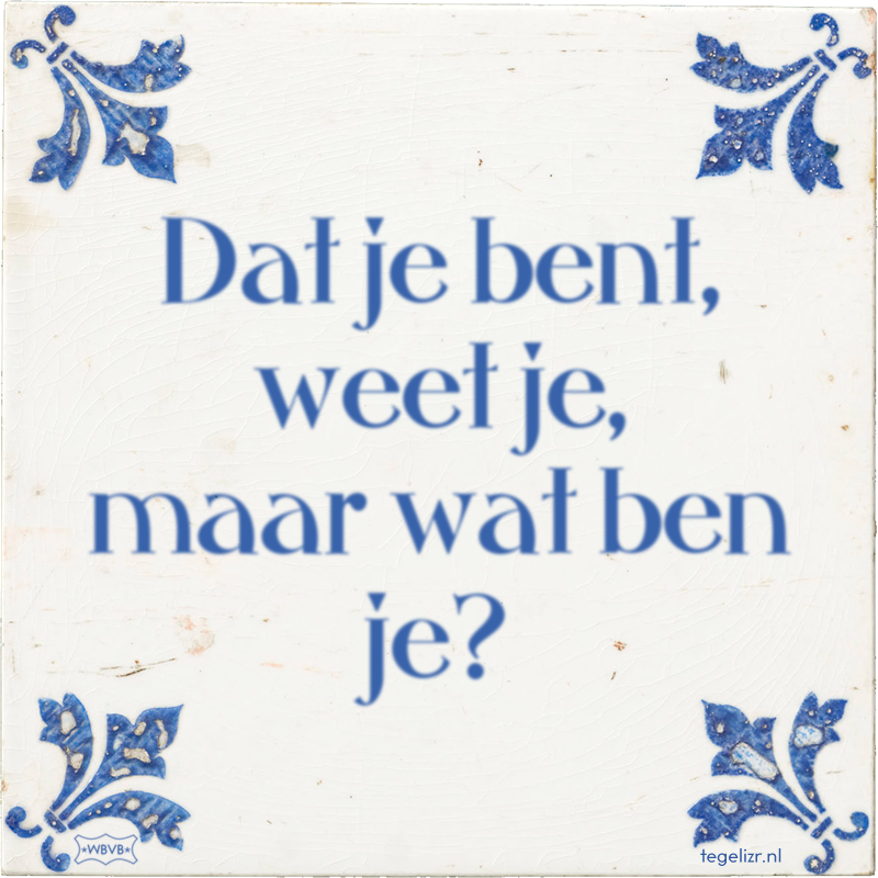 Dat je bent, weet je, maar wat ben je? - Online tegeltjes bakken