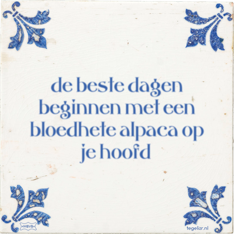 de beste dagen beginnen met een bloedhete alpaca op je hoofd - Online tegeltjes bakken