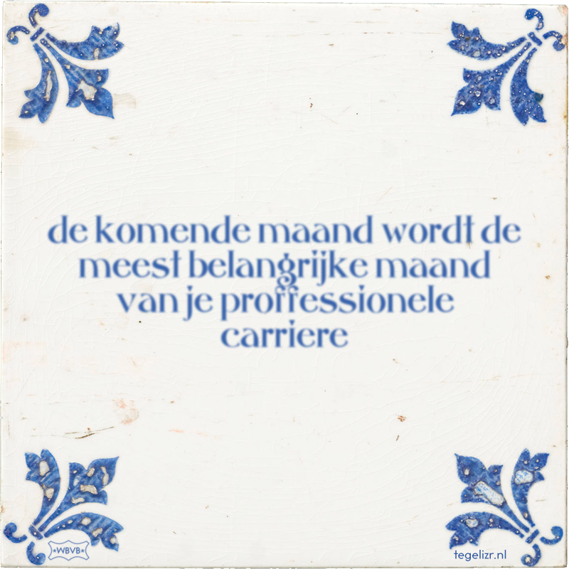 de komende maand wordt de meest belangrijke maand van je proffessionele carriere - Online tegeltjes bakken