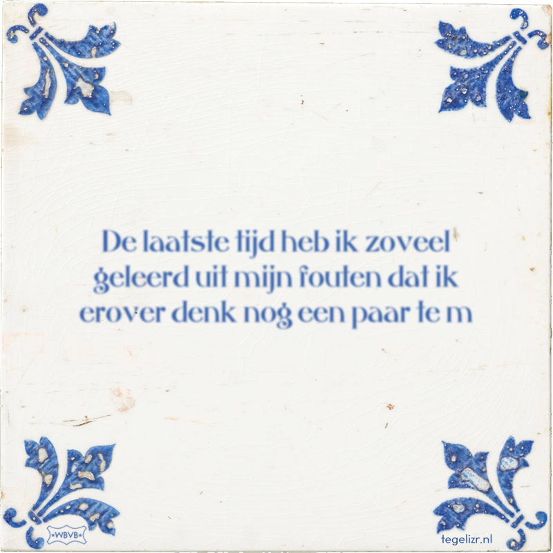 De laatste tijd heb ik zoveel geleerd uit mijn fouten dat ik erover denk nog een paar te m - Online tegeltjes bakken