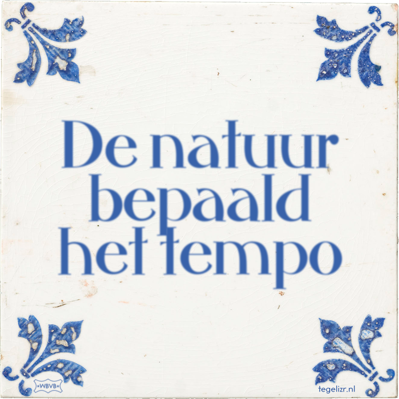 De natuur bepaald het tempo - Online tegeltjes bakken