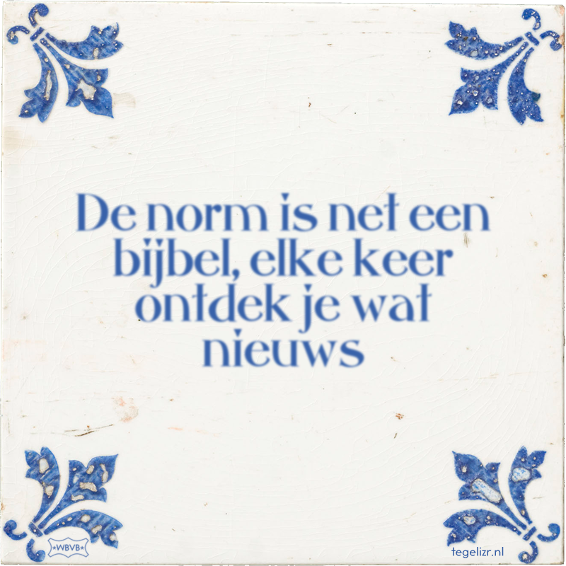 De norm is net een bijbel, elke keer ontdek je wat nieuws - Online tegeltjes bakken
