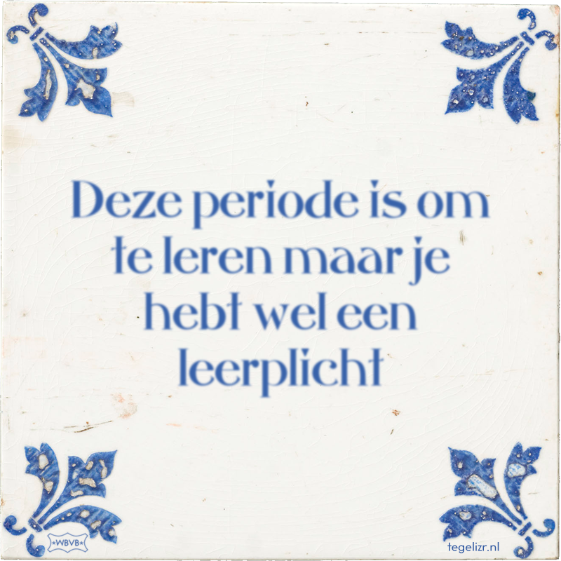 Deze periode is om te leren maar je hebt wel een leerplicht - Online tegeltjes bakken
