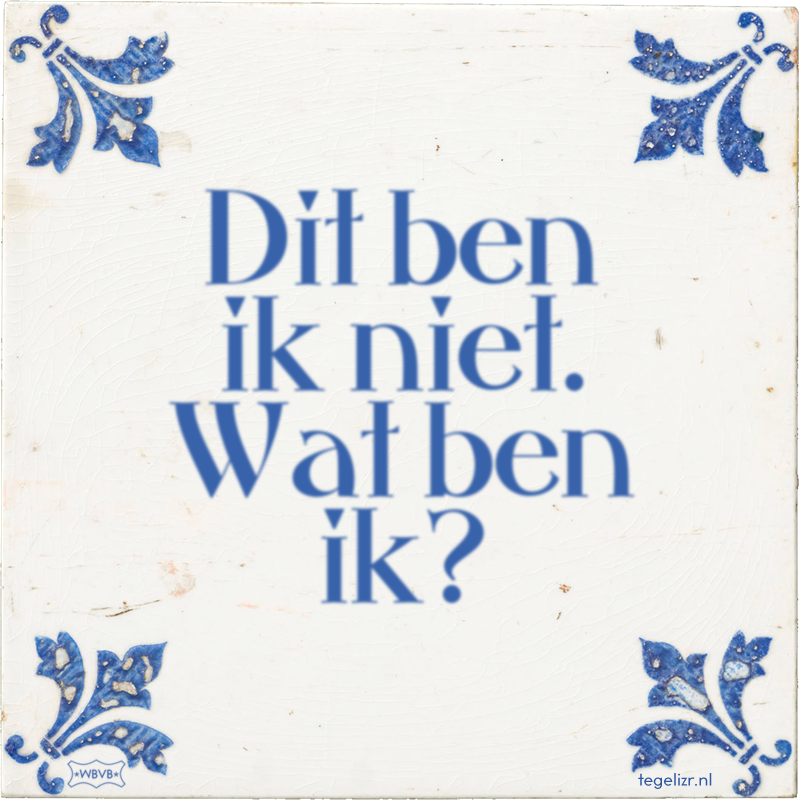 Dit ben ik niet. Wat ben ik? - Online tegeltjes bakken