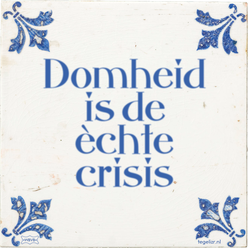 Domheid is de èchte crisis - Online tegeltjes bakken