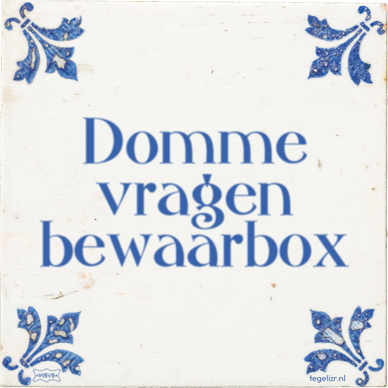 Domme vragen bewaarbox - Online tegeltjes bakken
