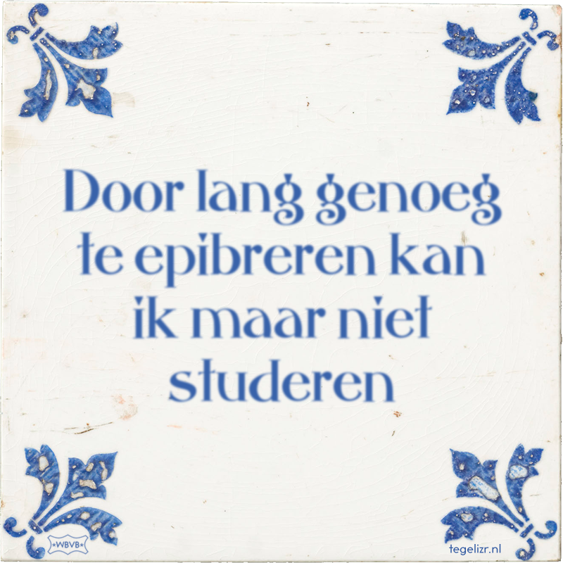 Door lang genoeg te epibreren kan ik maar niet studeren - Online tegeltjes bakken