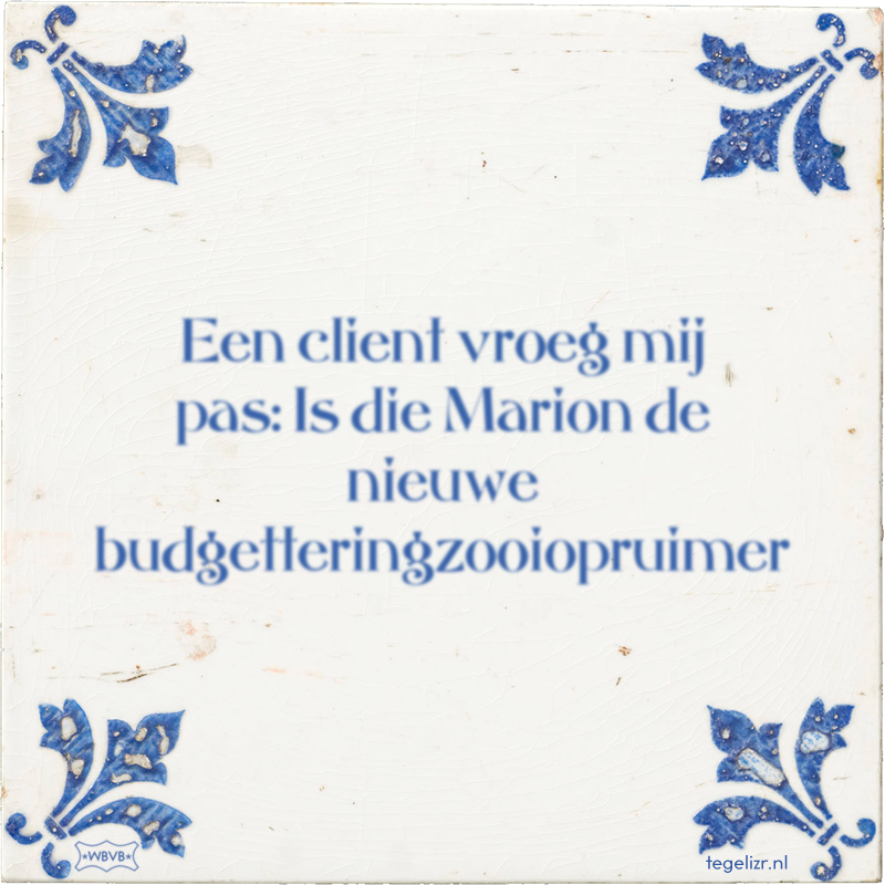 Een client vroeg mij pas: Is die Marion de nieuwe budgetteringzooiopruimer - Online tegeltjes bakken