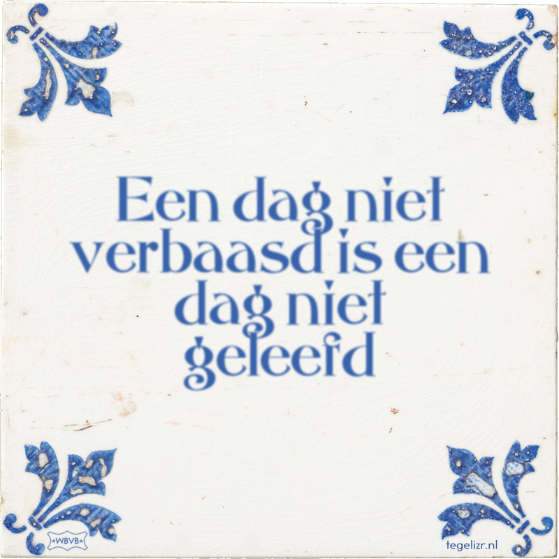 Een dag niet verbaasd is een dag niet geleefd - Online tegeltjes bakken