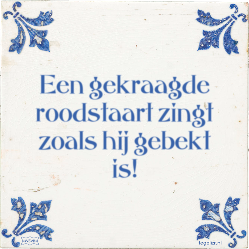 Een gekraagde roodstaart zingt zoals hij gebekt is! - Online tegeltjes bakken