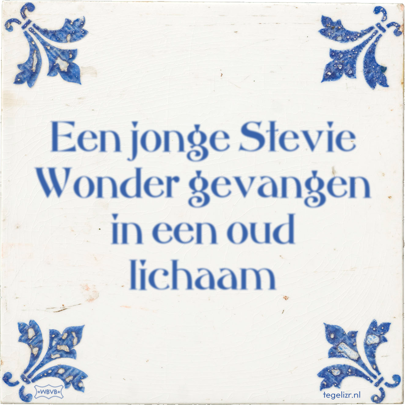 Een jonge Stevie Wonder gevangen in een oud lichaam - Online tegeltjes bakken