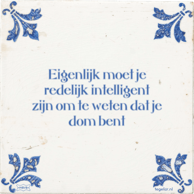 Eigenlijk moet je redelijk intelligent zijn om te weten dat je dom bent - Online tegeltjes bakken