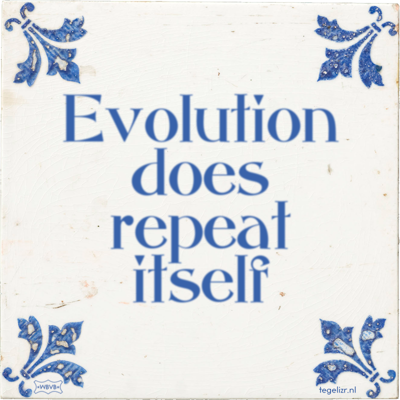 Evolution does repeat itself - Online tegeltjes bakken