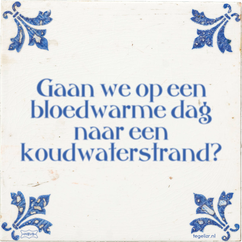 Gaan we op een bloedwarme dag naar een koudwaterstrand? - Online tegeltjes bakken