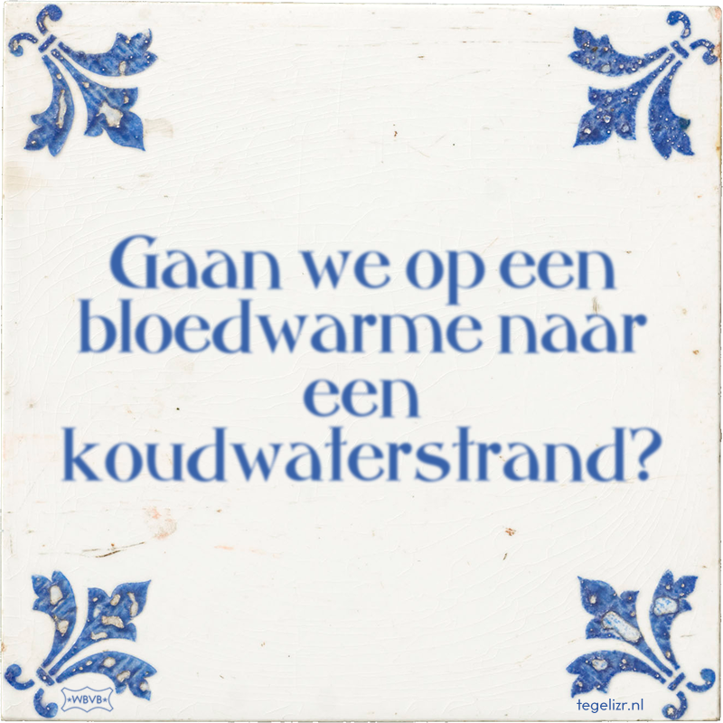 Gaan we op een bloedwarme naar een koudwaterstrand? - Online tegeltjes bakken