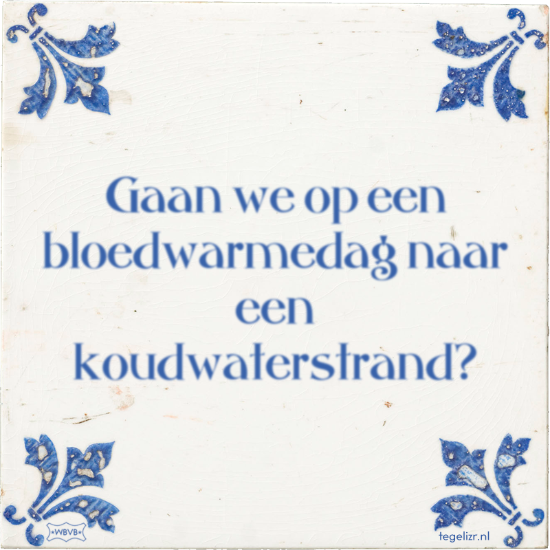 Gaan we op een bloedwarmedag naar een koudwaterstrand? - Online tegeltjes bakken