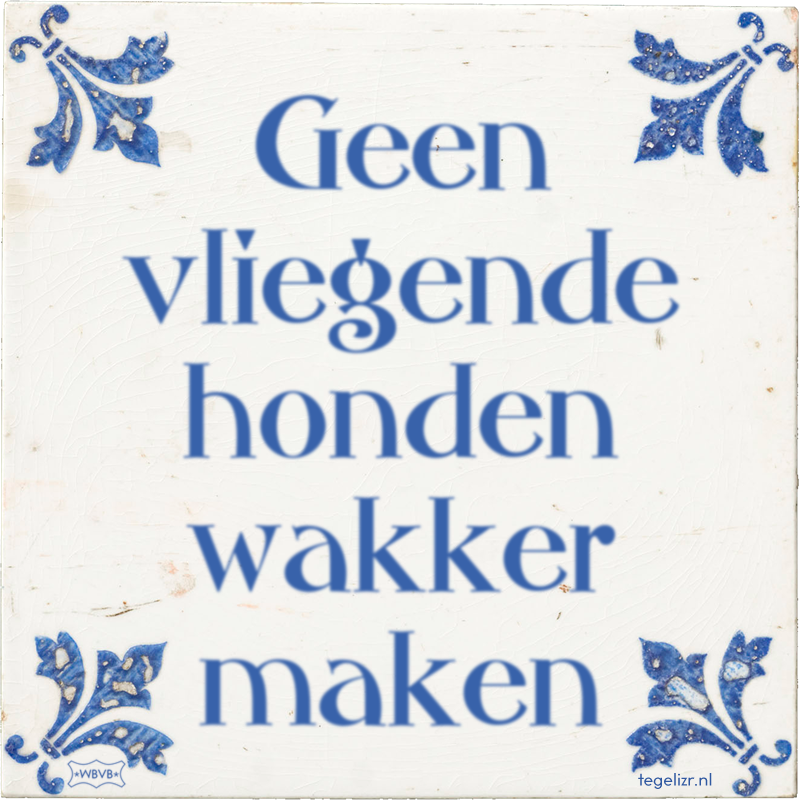 Geen vliegende honden wakker maken - Online tegeltjes bakken
