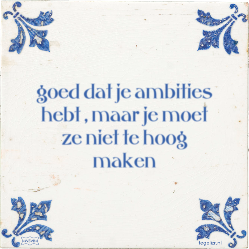goed dat je ambities hebt , maar je moet ze niet te hoog maken - Online tegeltjes bakken