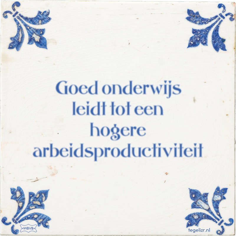 Goed onderwijs leidt tot een hogere arbeidsproductiviteit - Online tegeltjes bakken
