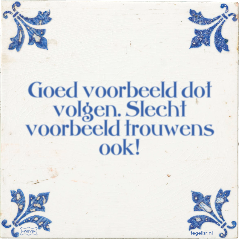 Goed voorbeeld dot volgen. Slecht voorbeeld trouwens ook! - Online tegeltjes bakken
