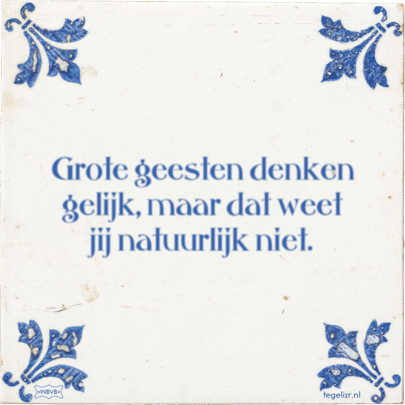 Grote geesten denken gelijk, maar dat weet jij natuurlijk niet. - Online tegeltjes bakken