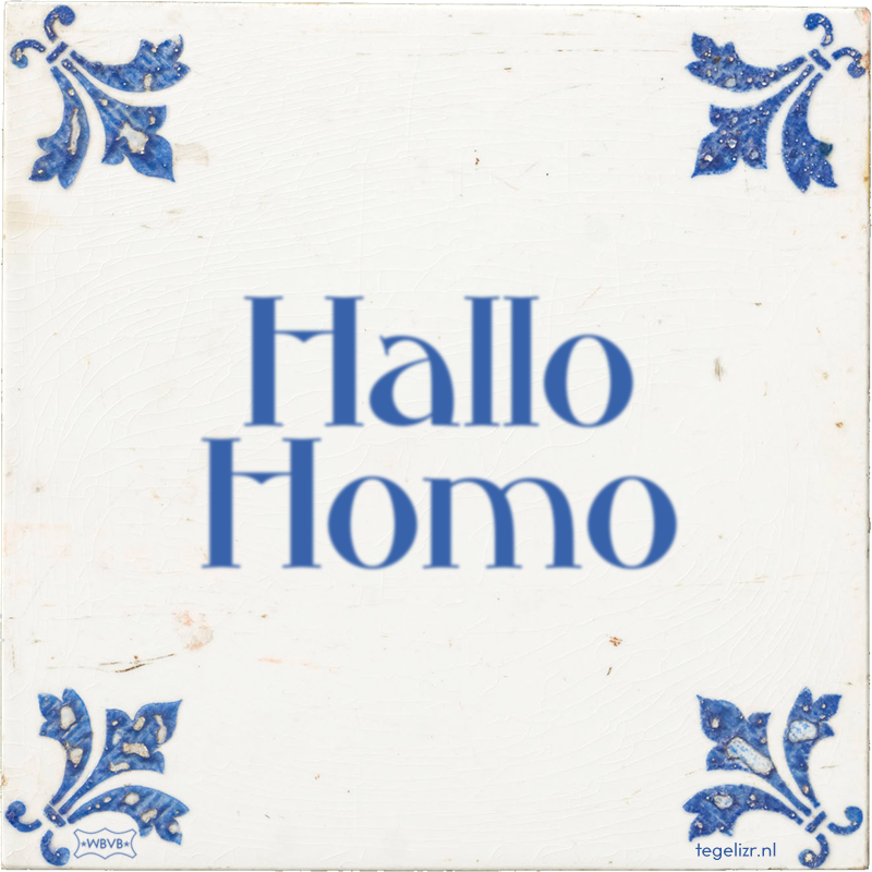Hallo Homo - Online tegeltjes bakken